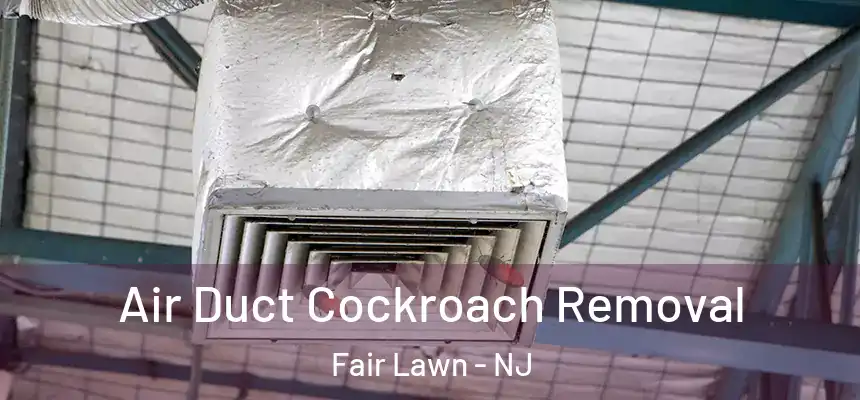  Air Duct Cockroach Removal Fair Lawn - NJ