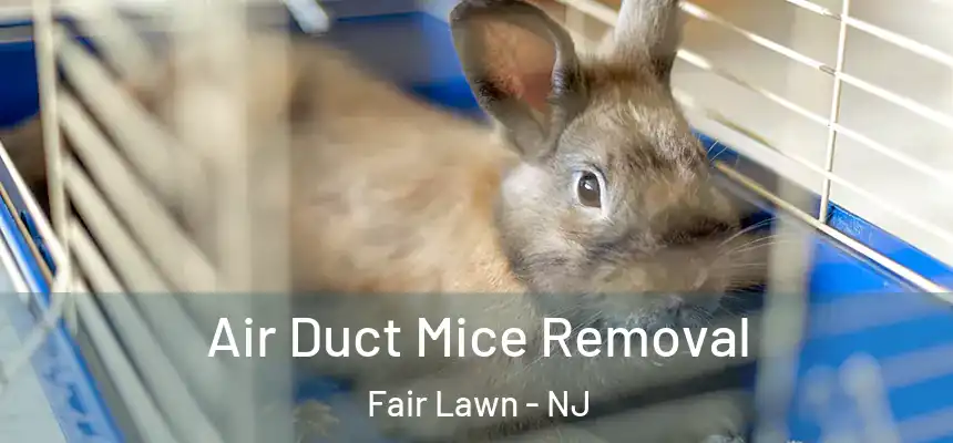 Air Duct Mice Removal Fair Lawn - NJ