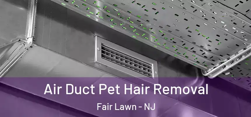 Air Duct Pet Hair Removal Fair Lawn - NJ