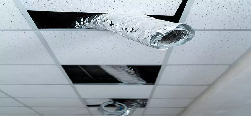 Affordable HVAC Sanitizing After Pest Removal in Fair Lawn