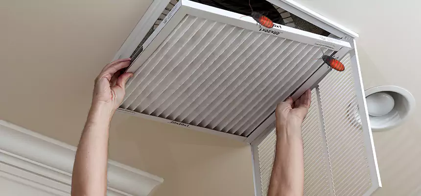 Our Insect Removal from Air Ducts Services in Fair Lawn, NJ