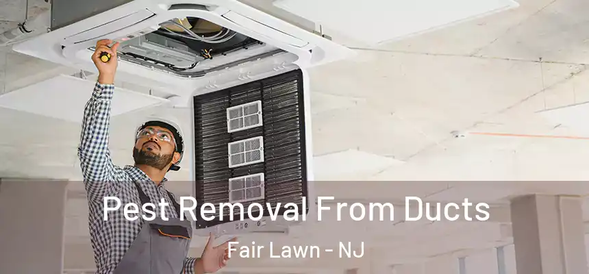  Pest Removal From Ducts Fair Lawn - NJ