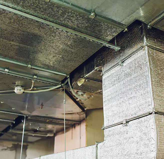 Why Homeowners & Businesses Trust Us in Fair Lawn, NJ?